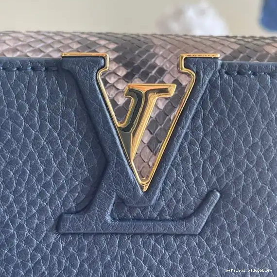Official oldcobbler LOUIS VUITTON CAPUCINES MINI 0626